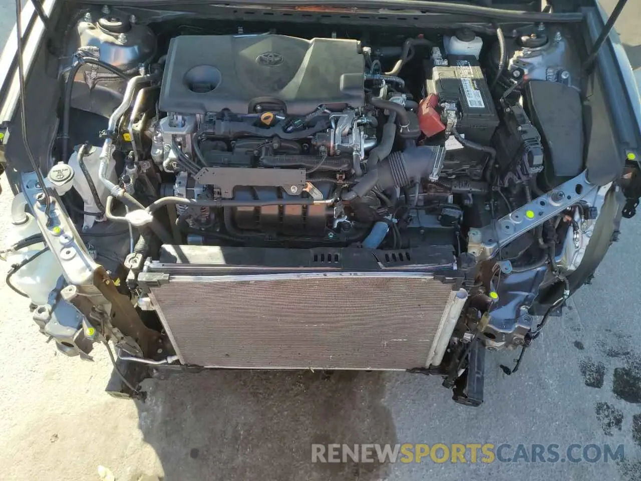 11 fotografías del automóvil dañado 4T1B11HK3KU267528 TOYOTA CAMRY 2019