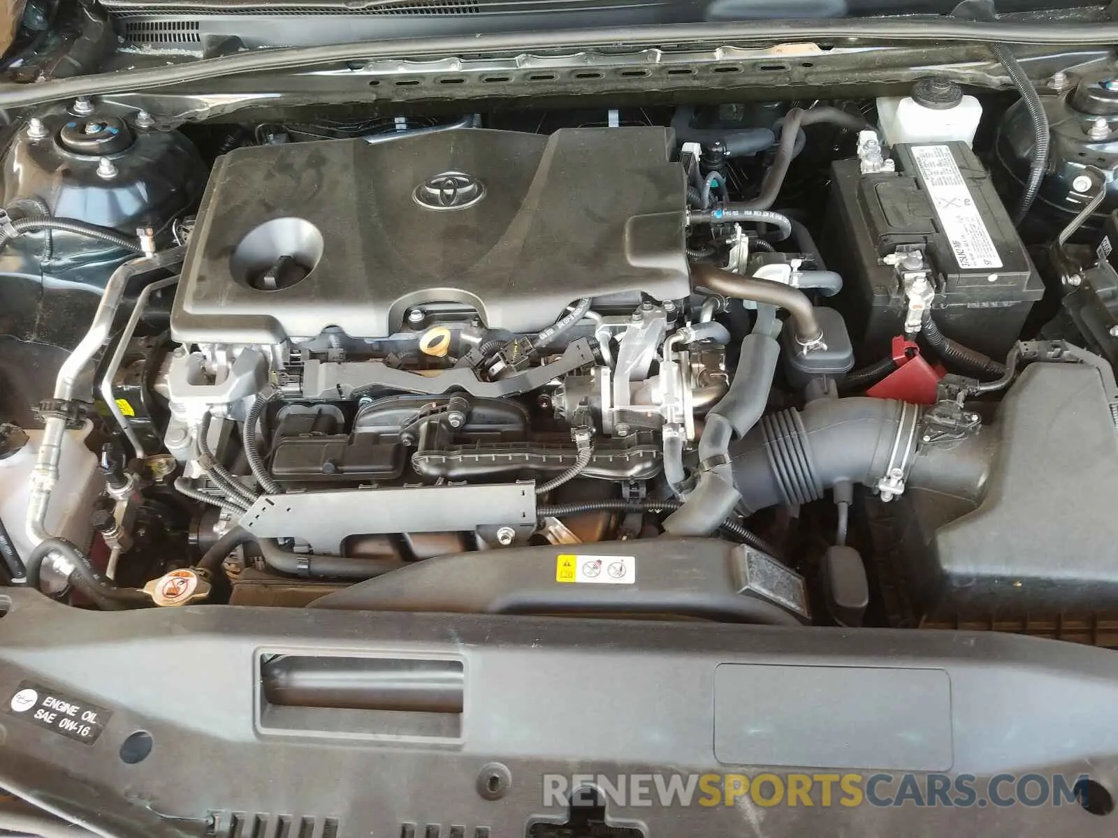 7 fotografías del automóvil dañado 4T1B11HK3KU697169 TOYOTA CAMRY 2019