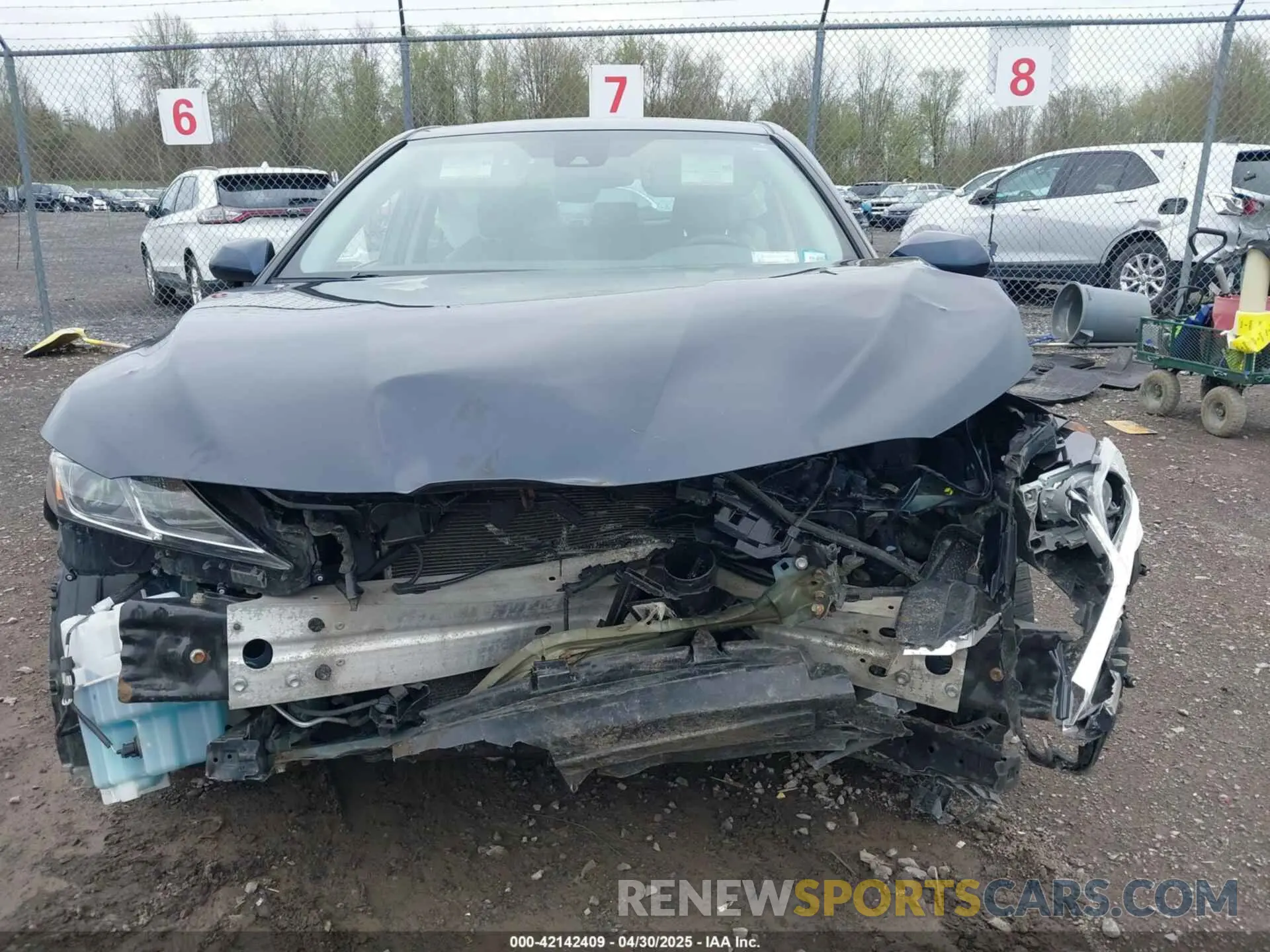 13 fotografías del automóvil dañado 4T1B11HK3KU702368 TOYOTA CAMRY 2019