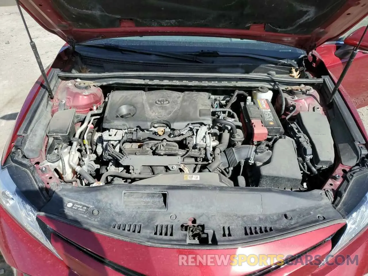 11 fotografías del automóvil dañado 4T1B11HK3KU704167 TOYOTA CAMRY 2019