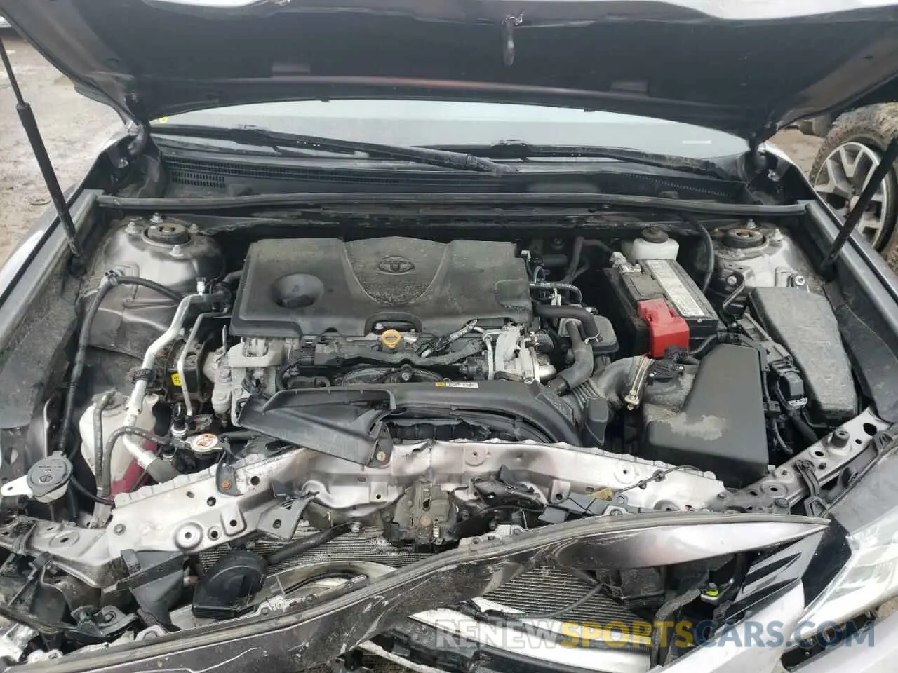 11 fotografías del automóvil dañado 4T1B11HK3KU710468 TOYOTA CAMRY 2019