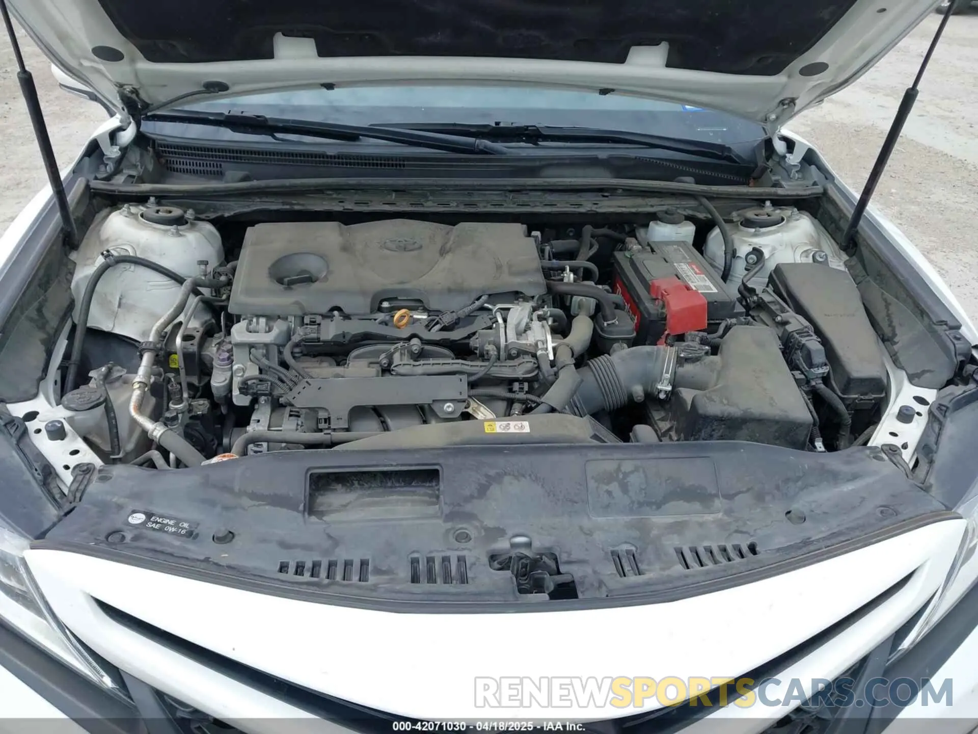 10 fotografías del automóvil dañado 4T1B11HK3KU719137 TOYOTA CAMRY 2019