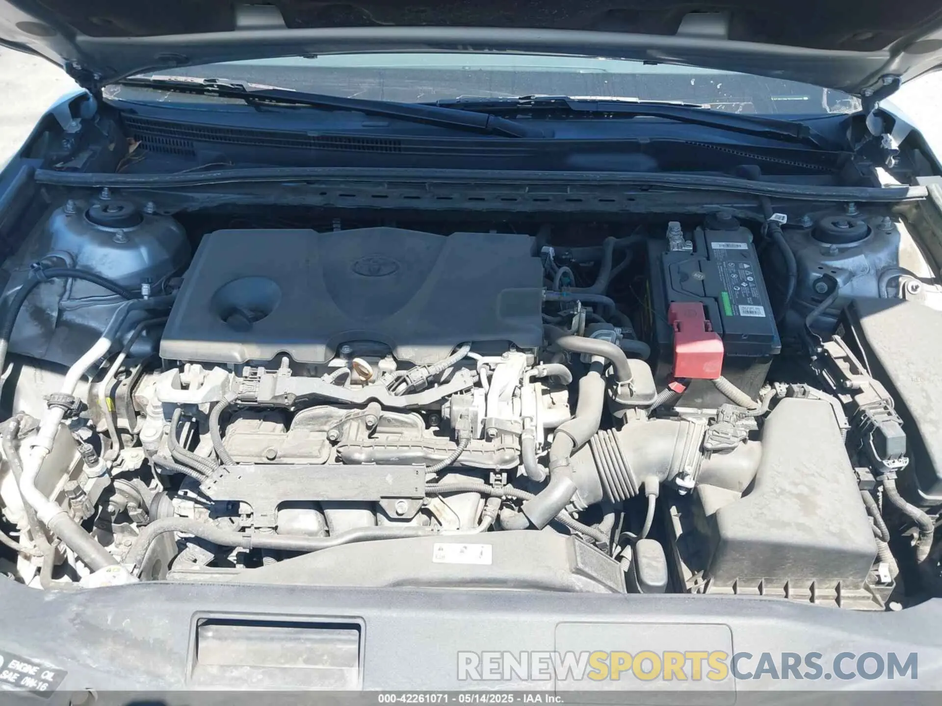 10 fotografías del automóvil dañado 4T1B11HK3KU729666 TOYOTA CAMRY 2019