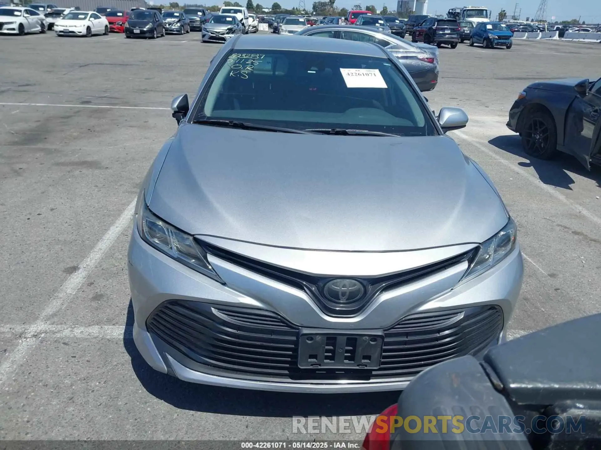 12 fotografías del automóvil dañado 4T1B11HK3KU729666 TOYOTA CAMRY 2019
