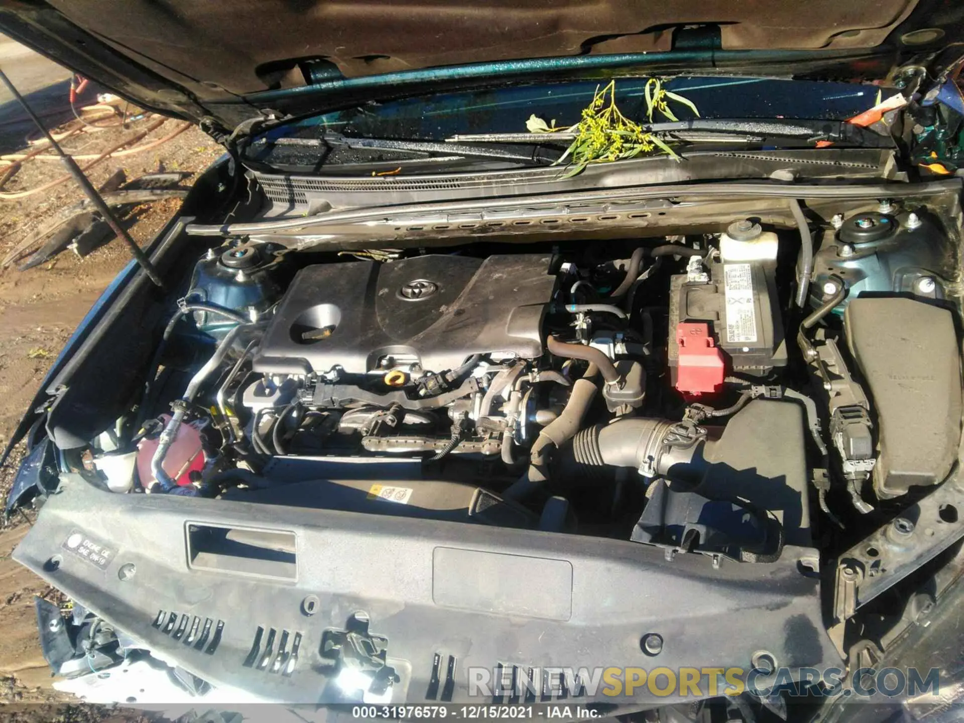 10 fotografías del automóvil dañado 4T1B11HK3KU744670 TOYOTA CAMRY 2019