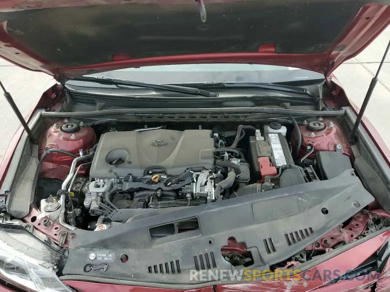 7 fotografías del automóvil dañado 4T1B11HK3KU744975 TOYOTA CAMRY 2019