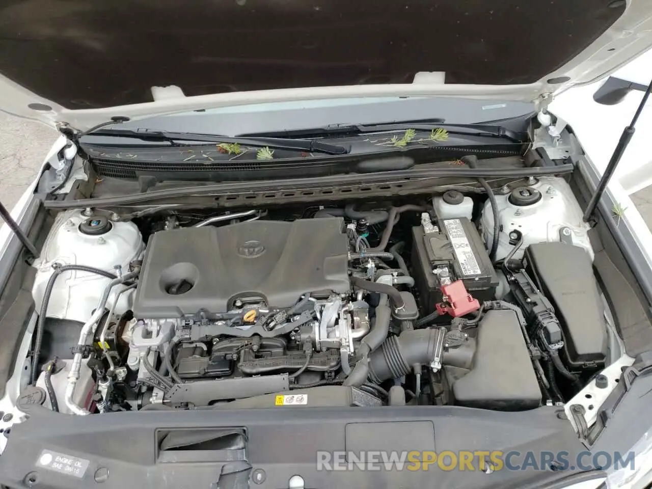7 fotografías del automóvil dañado 4T1B11HK3KU748721 TOYOTA CAMRY 2019