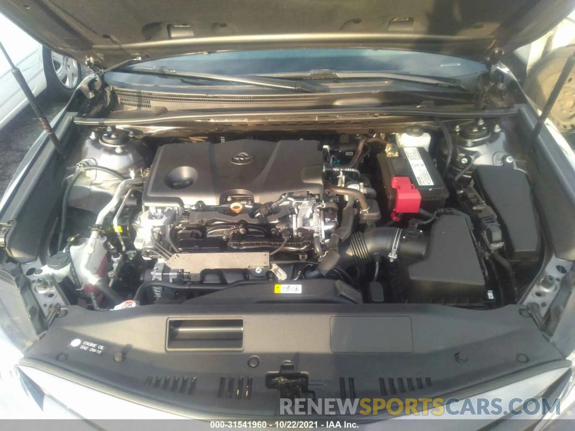 10 fotografías del automóvil dañado 4T1B11HK3KU766104 TOYOTA CAMRY 2019