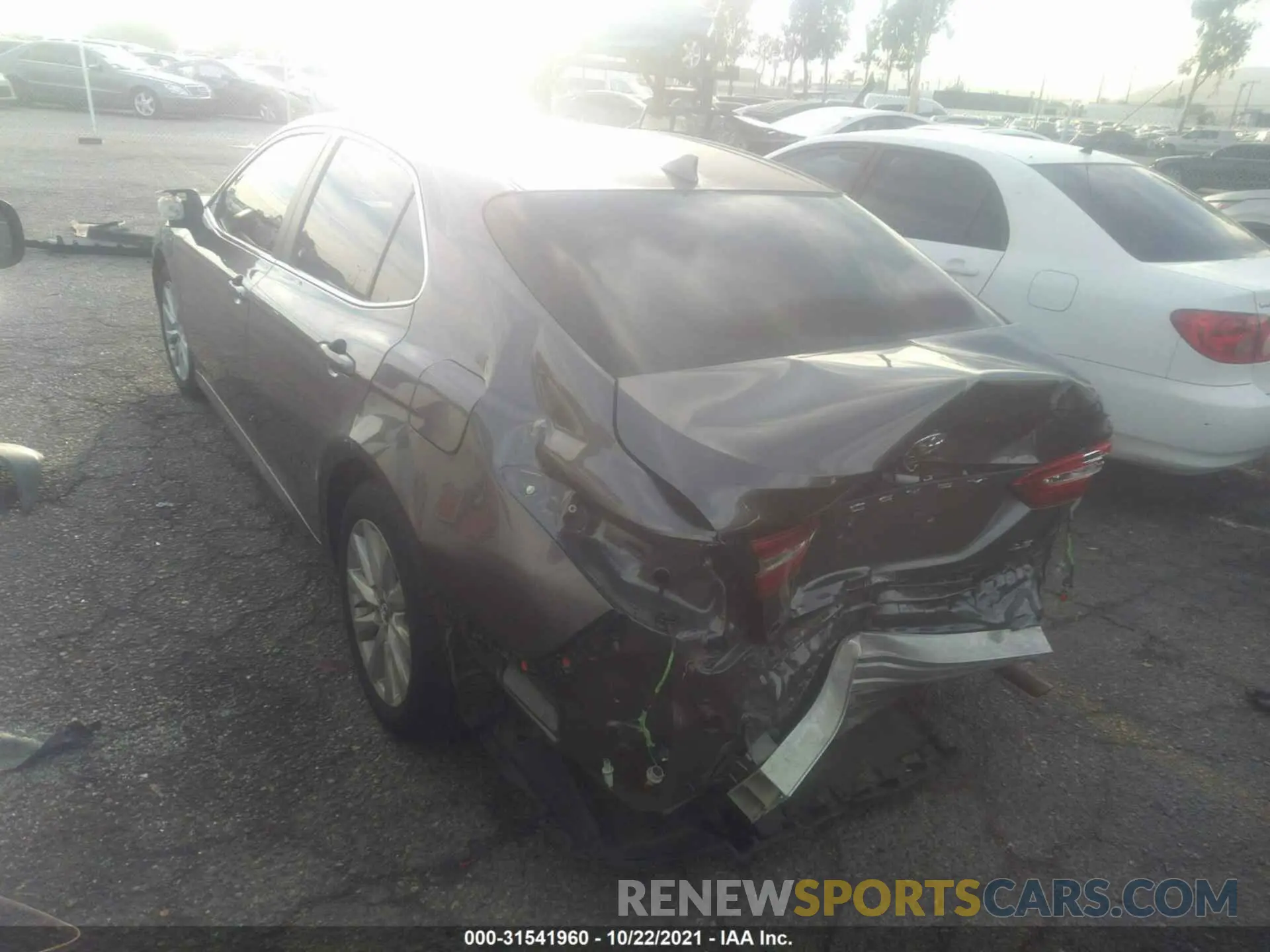 3 fotografías del automóvil dañado 4T1B11HK3KU766104 TOYOTA CAMRY 2019