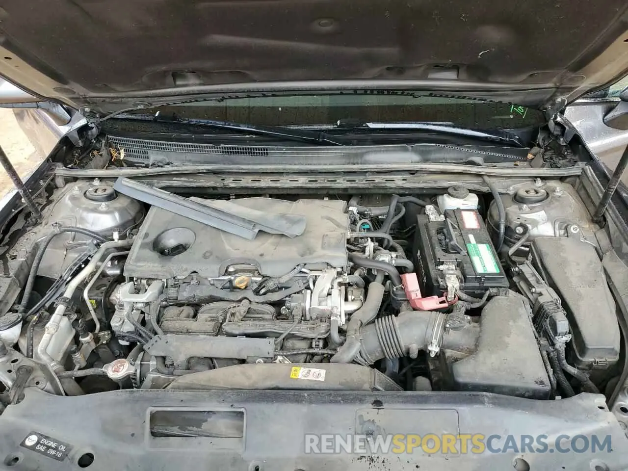 11 fotografías del automóvil dañado 4T1B11HK3KU769293 TOYOTA CAMRY 2019