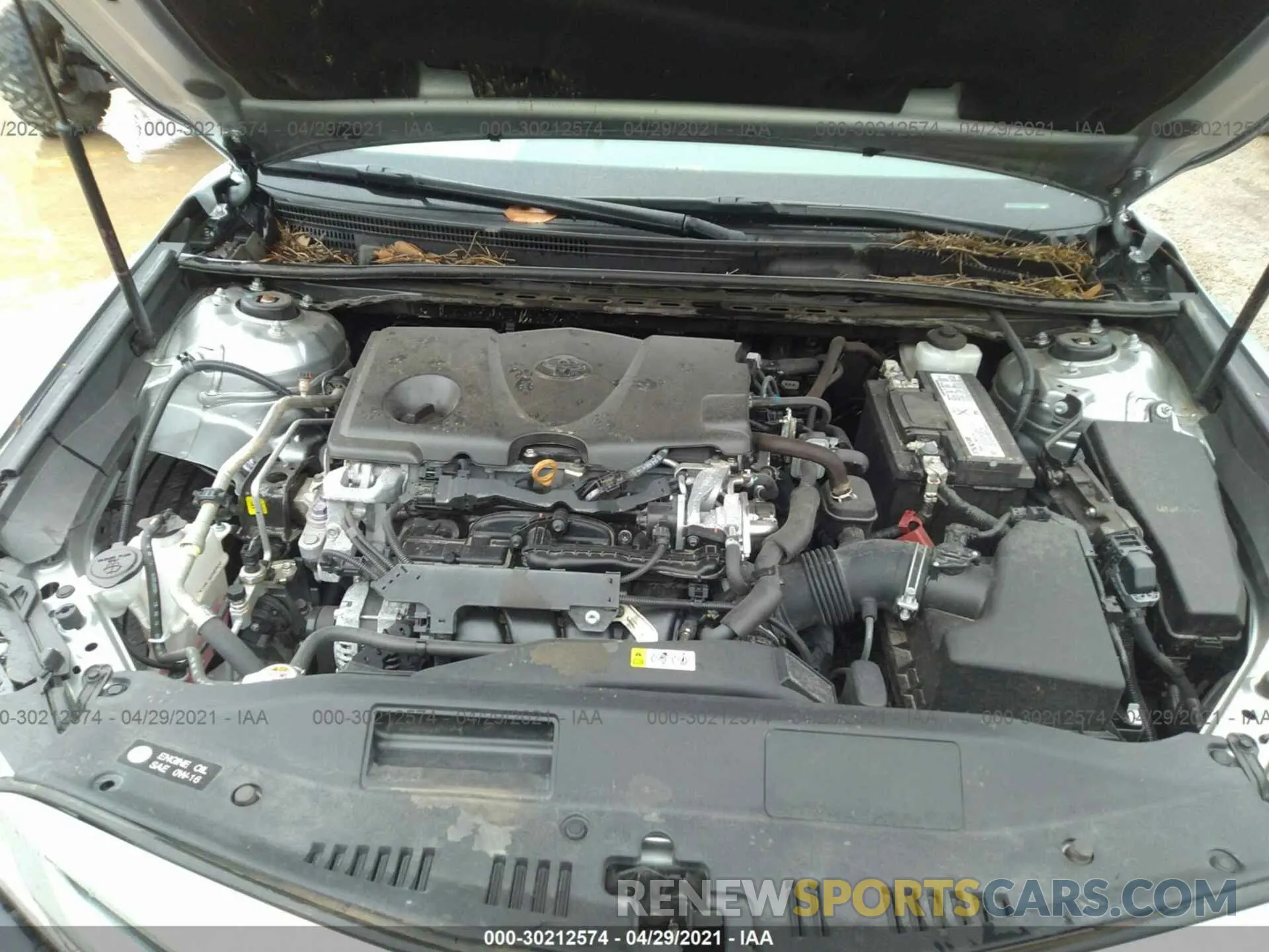 10 fotografías del automóvil dañado 4T1B11HK3KU771173 TOYOTA CAMRY 2019