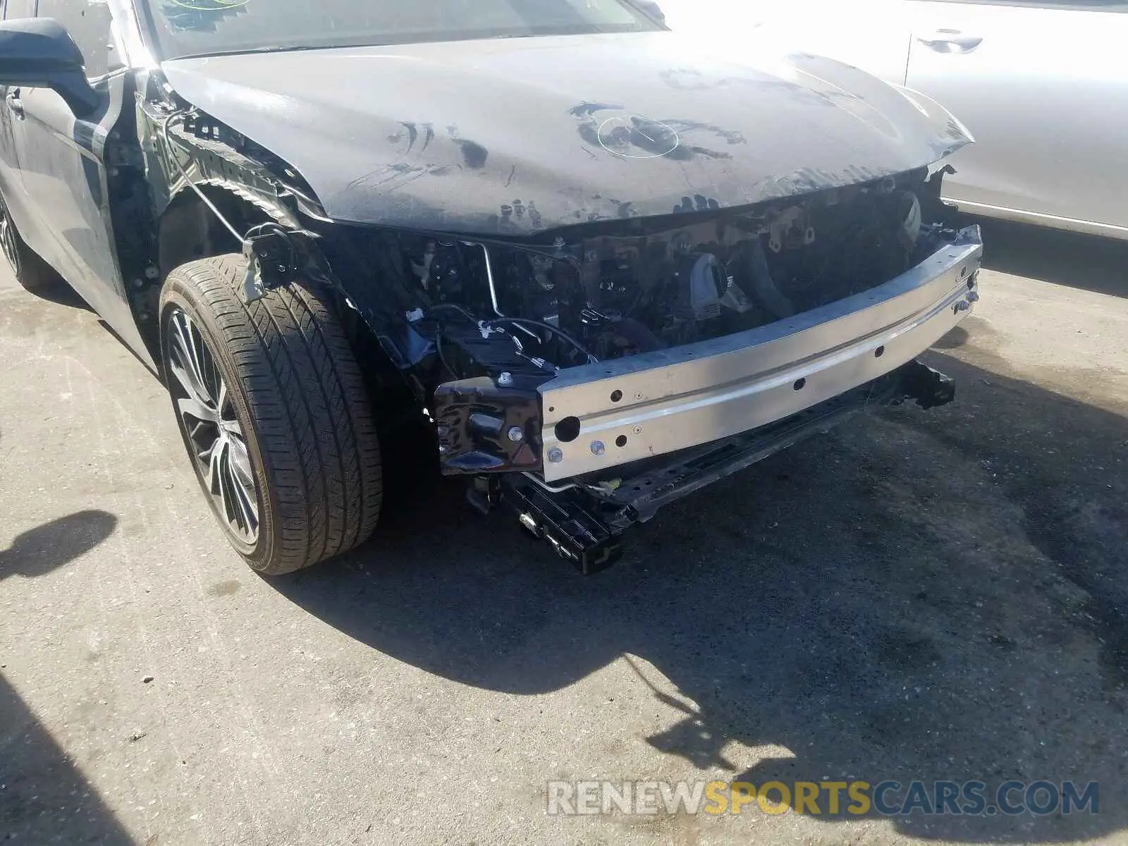 9 fotografías del automóvil dañado 4T1B11HK3KU772372 TOYOTA CAMRY 2019