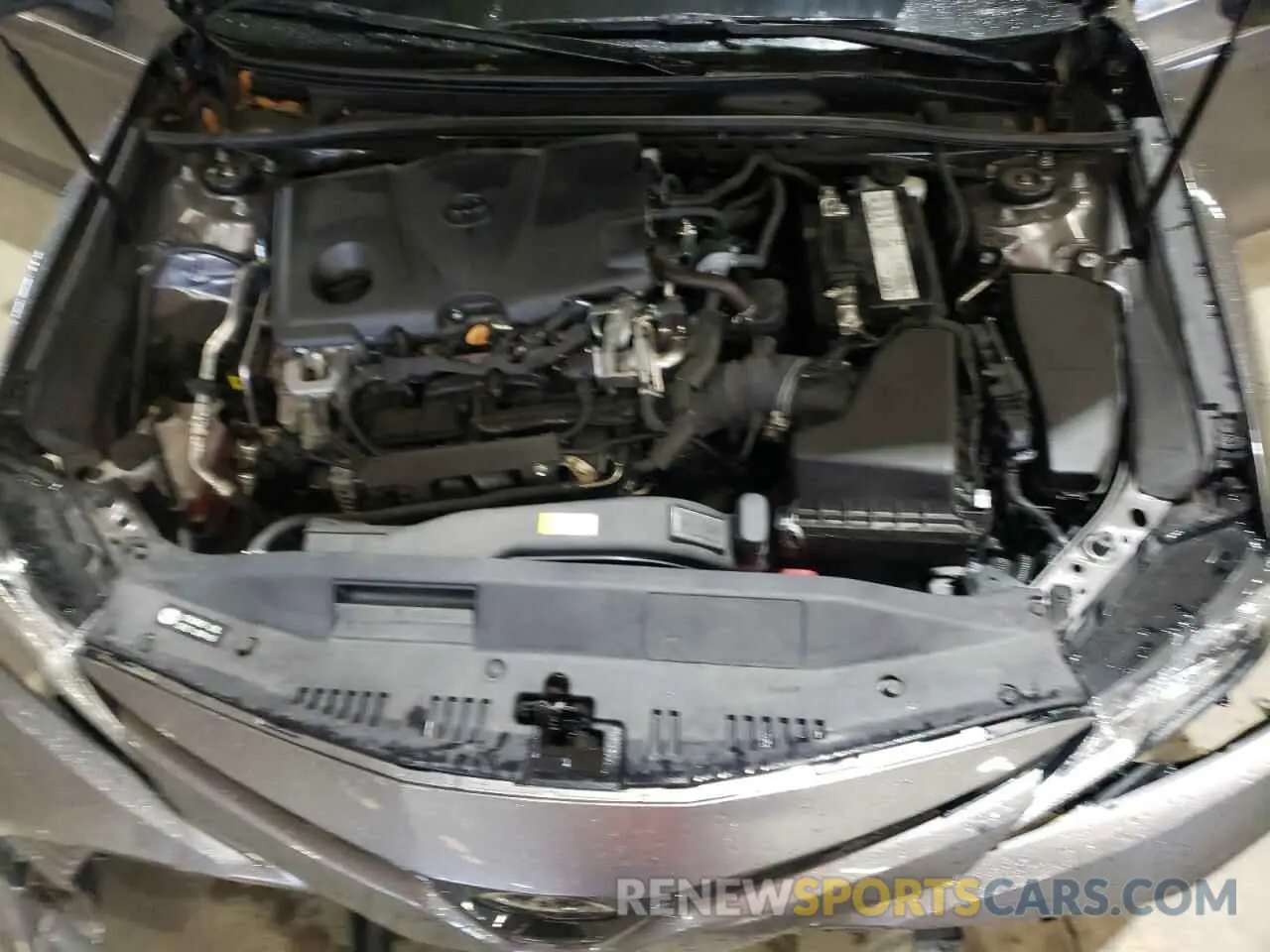 7 fotografías del automóvil dañado 4T1B11HK3KU781797 TOYOTA CAMRY 2019