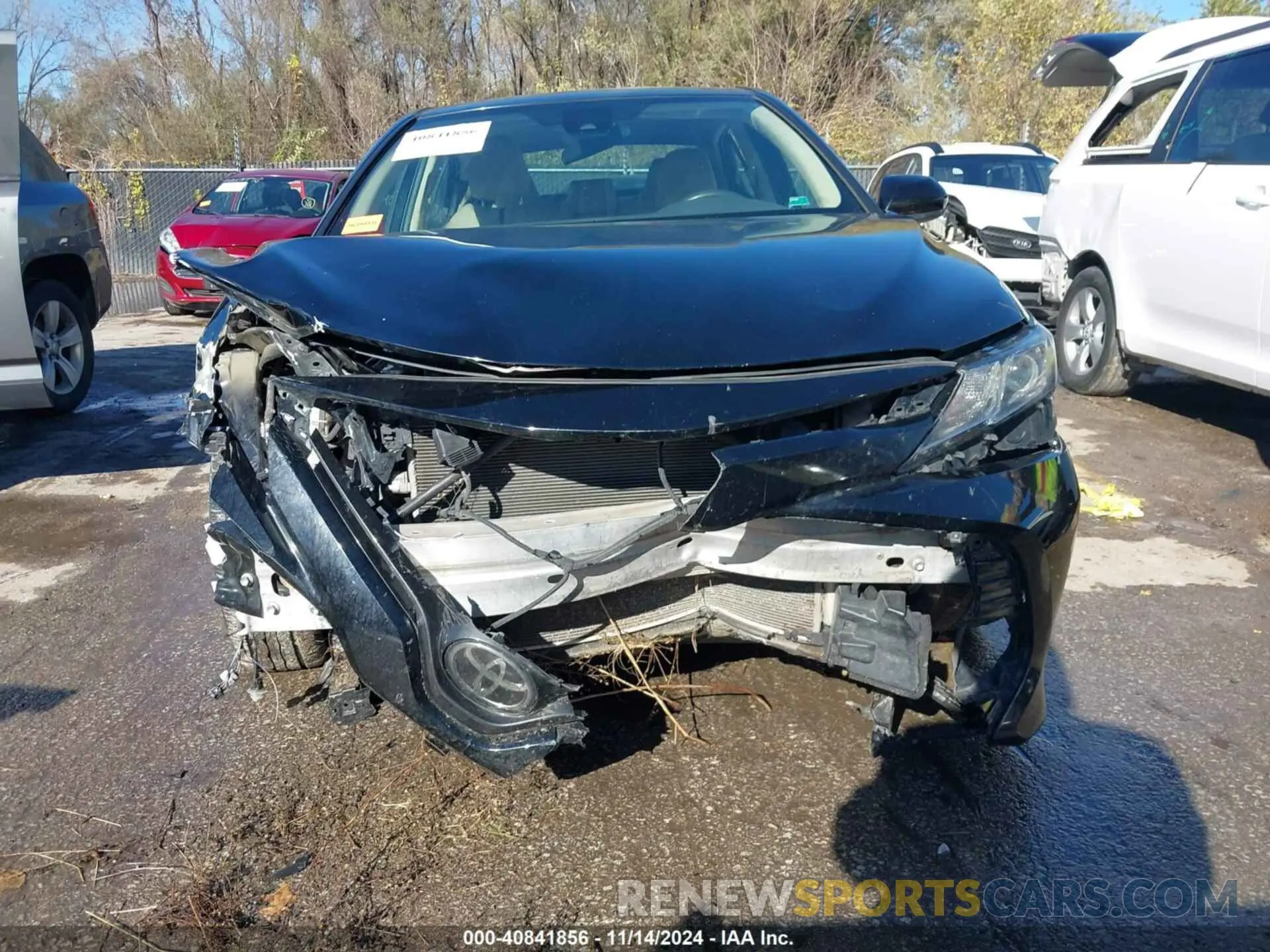 12 fotografías del automóvil dañado 4T1B11HK3KU802258 TOYOTA CAMRY 2019