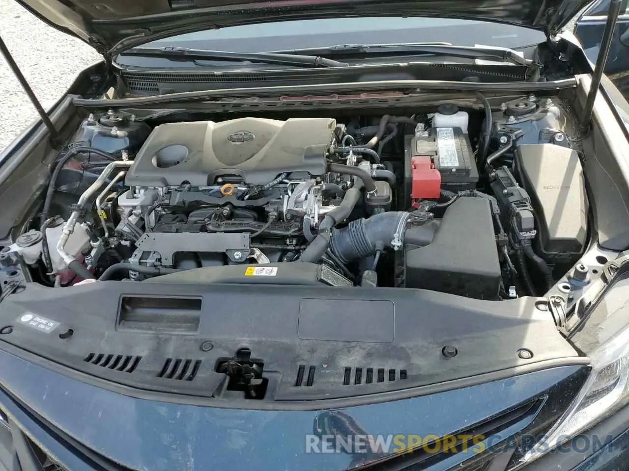 11 fotografías del automóvil dañado 4T1B11HK3KU822509 TOYOTA CAMRY 2019