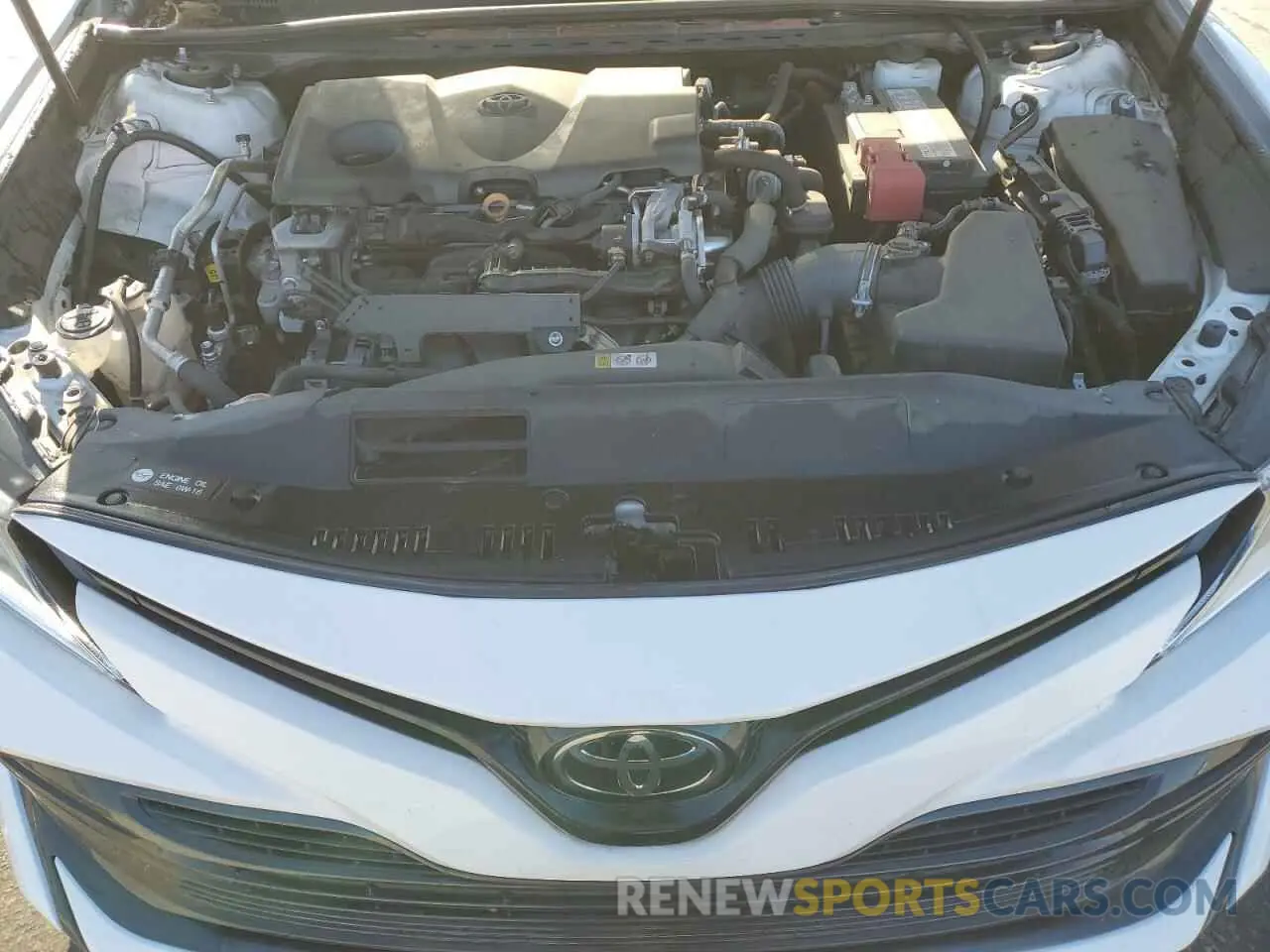 11 fotografías del automóvil dañado 4T1B11HK3KU824602 TOYOTA CAMRY 2019