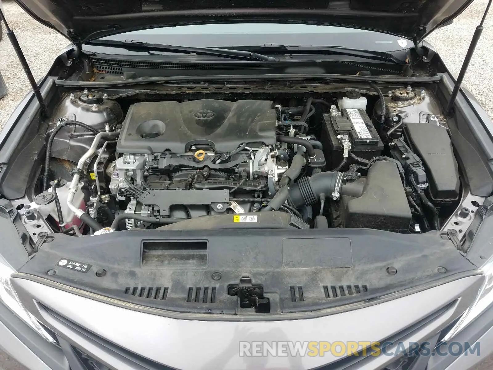 7 fotografías del automóvil dañado 4T1B11HK3KU826074 TOYOTA CAMRY 2019