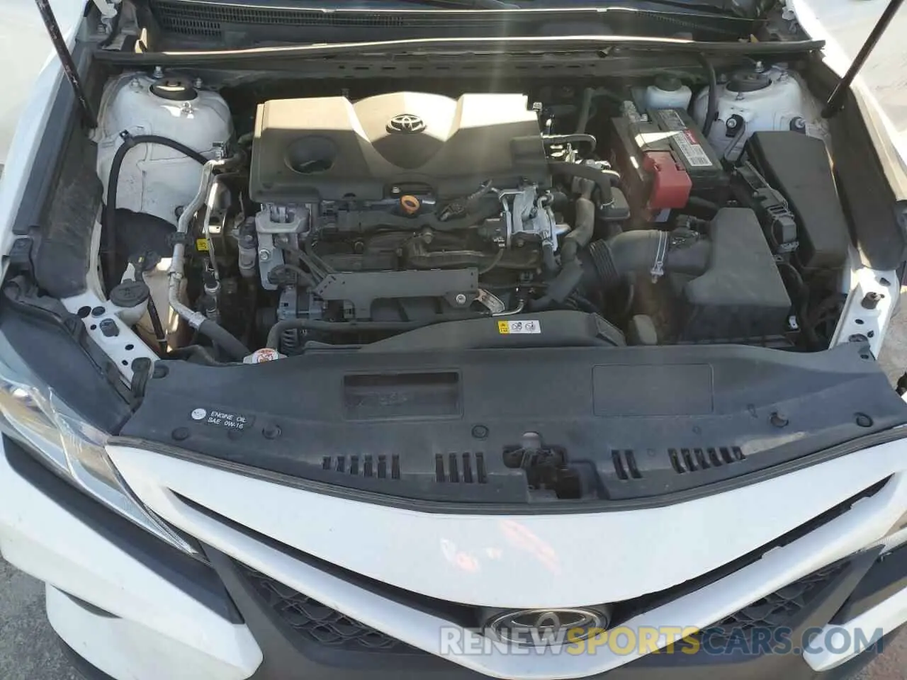 12 fotografías del automóvil dañado 4T1B11HK3KU832439 TOYOTA CAMRY 2019