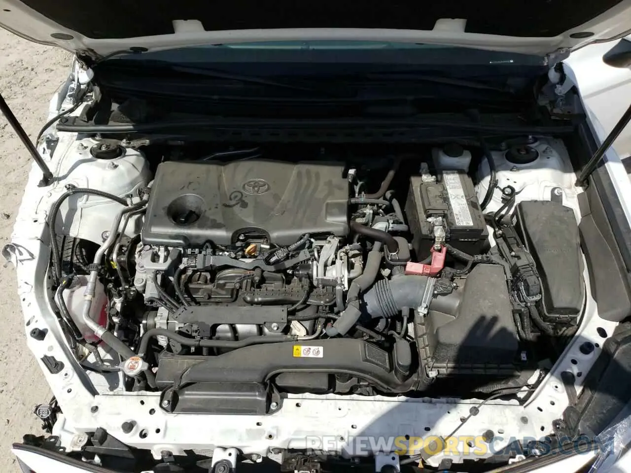 7 fotografías del automóvil dañado 4T1B11HK3KU844882 TOYOTA CAMRY 2019