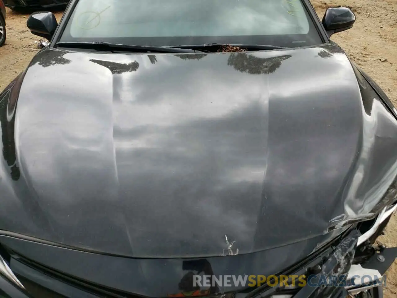 7 fotografías del automóvil dañado 4T1B11HK3KU854201 TOYOTA CAMRY 2019