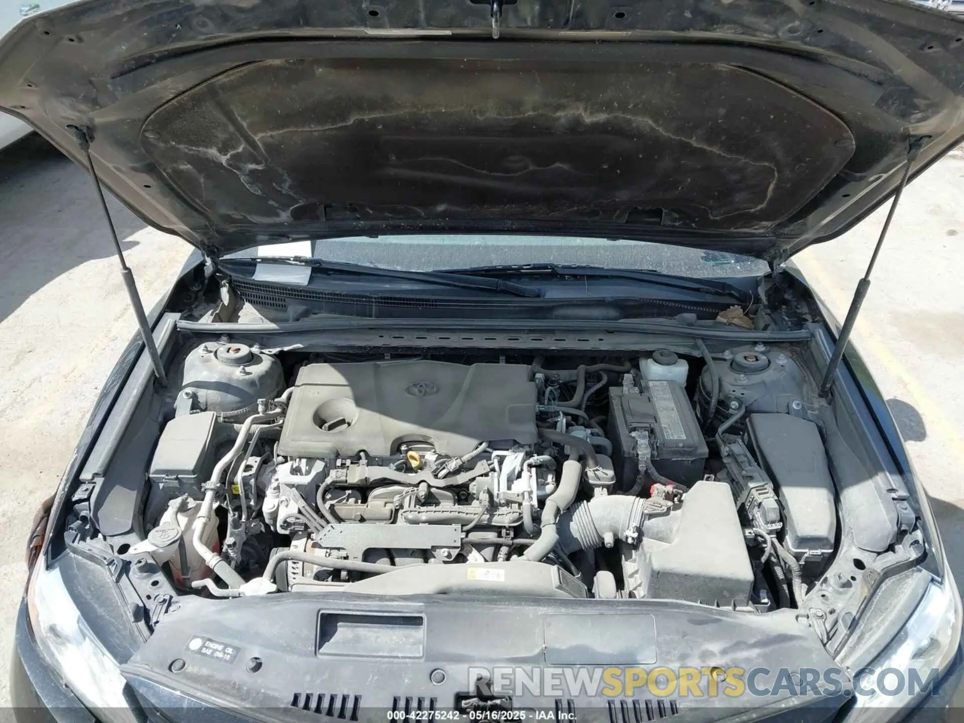 10 fotografías del automóvil dañado 4T1B11HK4KU159810 TOYOTA CAMRY 2019