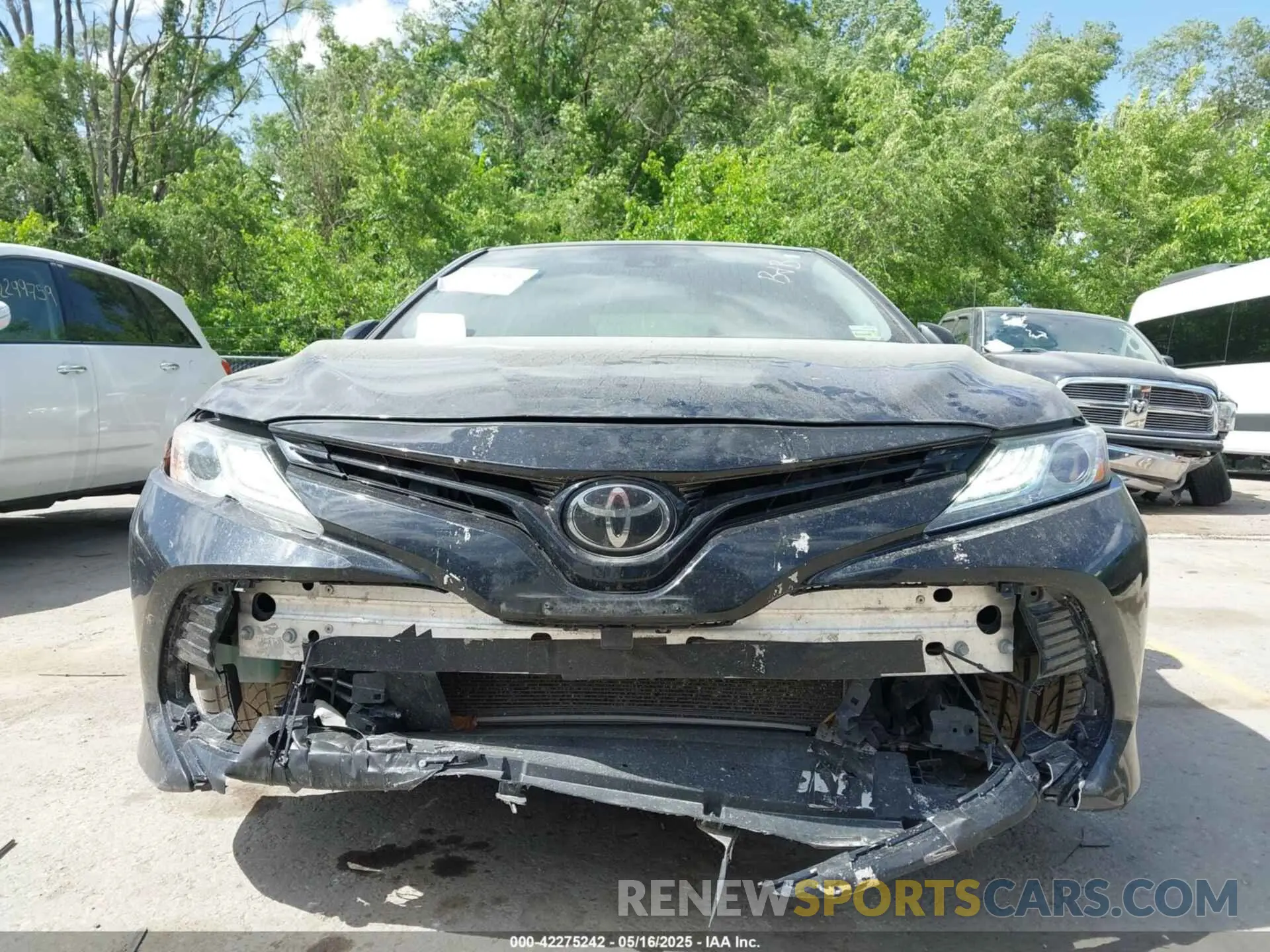 6 fotografías del automóvil dañado 4T1B11HK4KU159810 TOYOTA CAMRY 2019