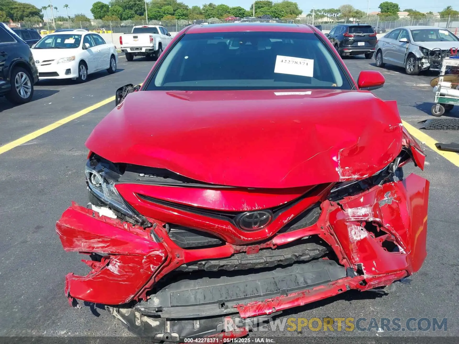 12 fotografías del automóvil dañado 4T1B11HK4KU168863 TOYOTA CAMRY 2019