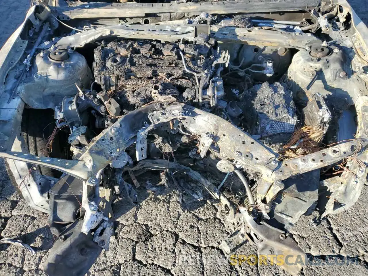 11 fotografías del automóvil dañado 4T1B11HK4KU174307 TOYOTA CAMRY 2019