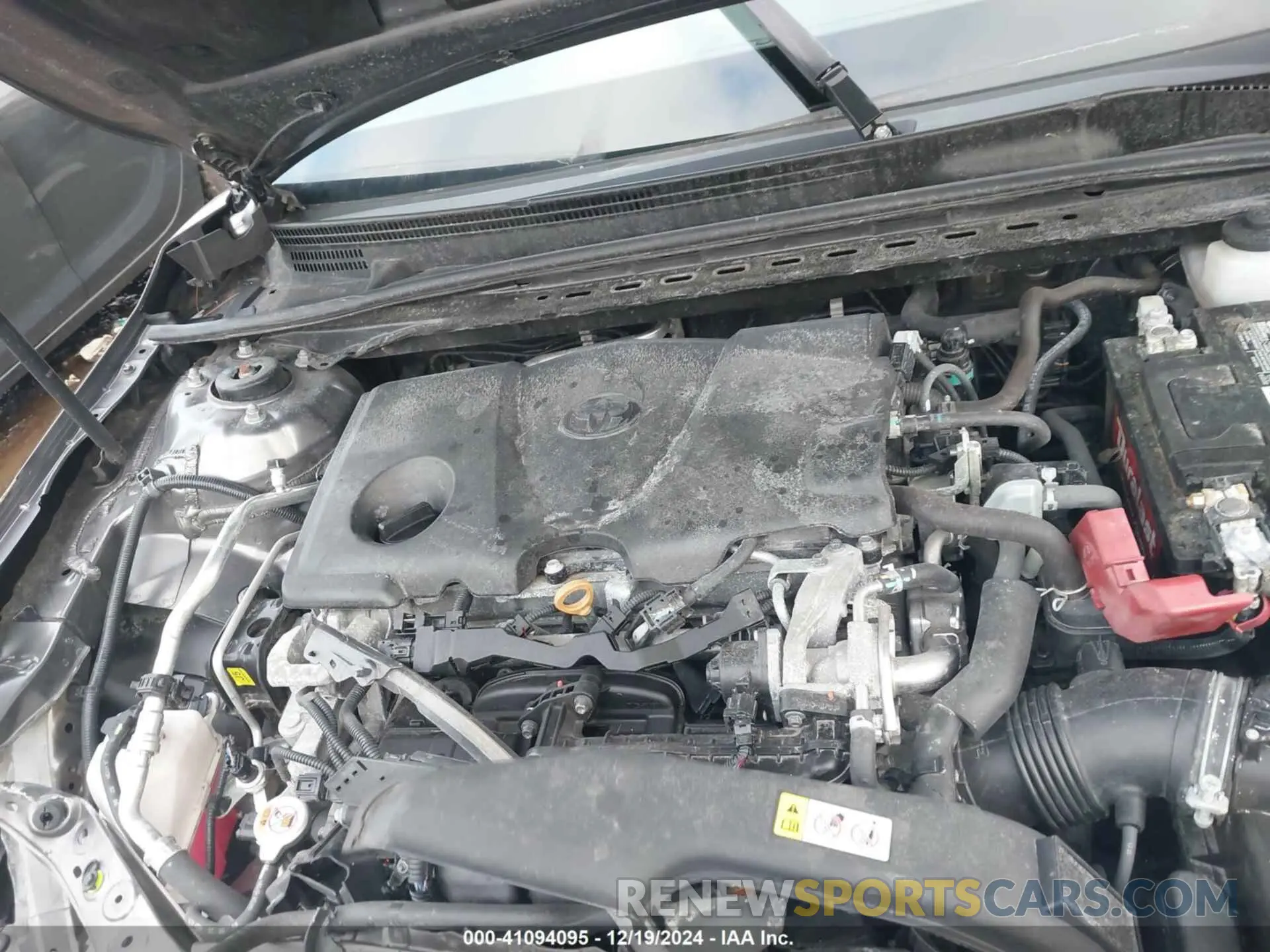 10 fotografías del automóvil dañado 4T1B11HK4KU180561 TOYOTA CAMRY 2019