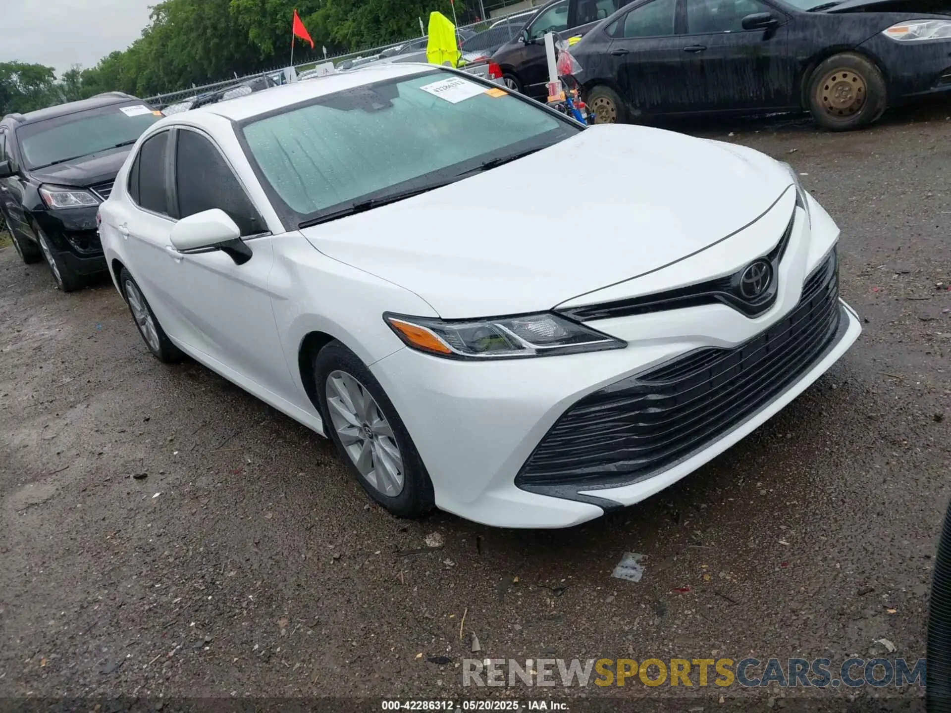 1 fotografías del automóvil dañado 4T1B11HK4KU192631 TOYOTA CAMRY 2019