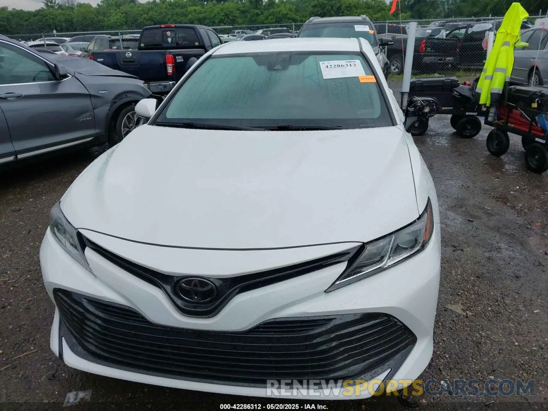 12 fotografías del automóvil dañado 4T1B11HK4KU192631 TOYOTA CAMRY 2019