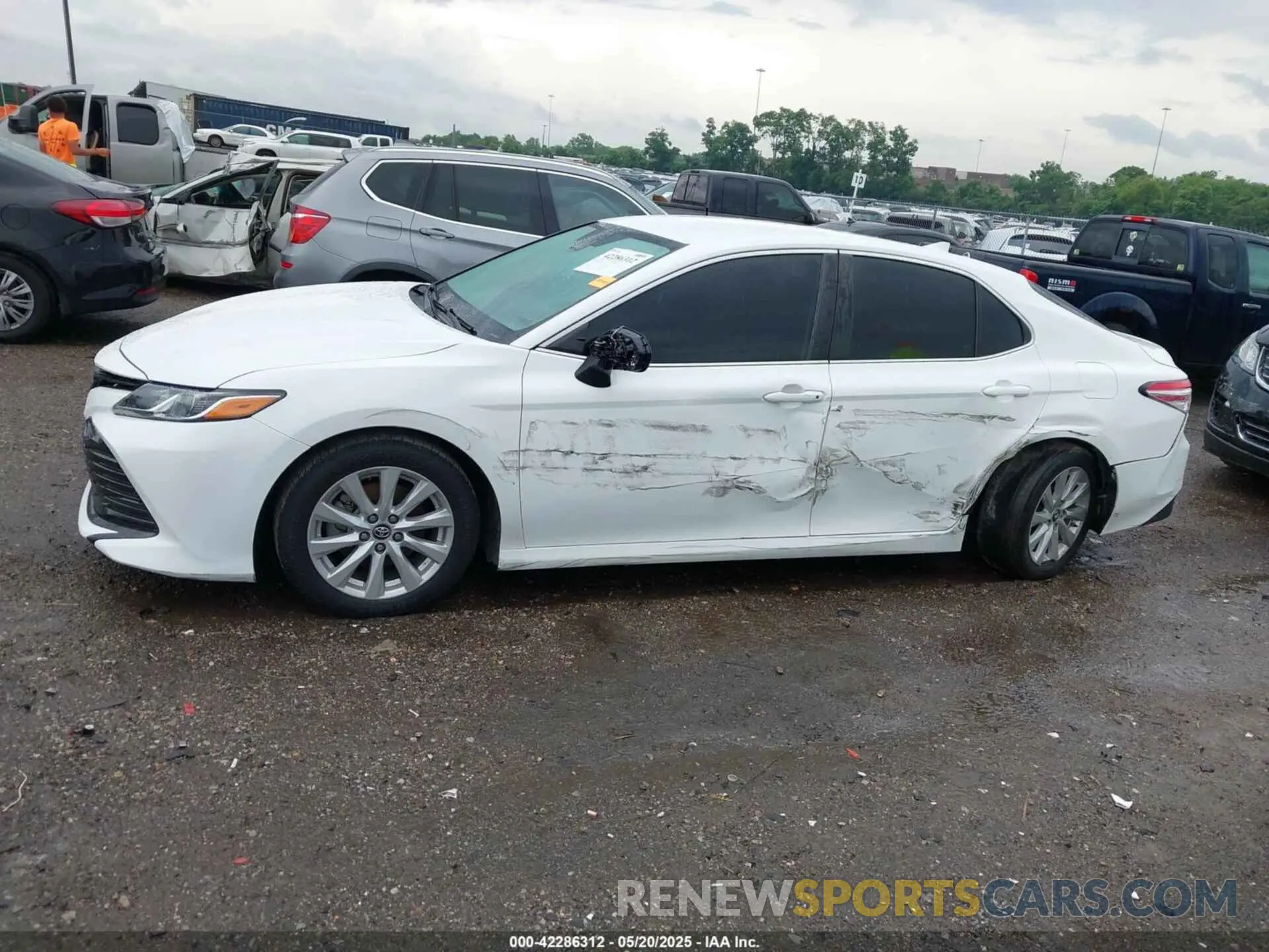 14 fotografías del automóvil dañado 4T1B11HK4KU192631 TOYOTA CAMRY 2019
