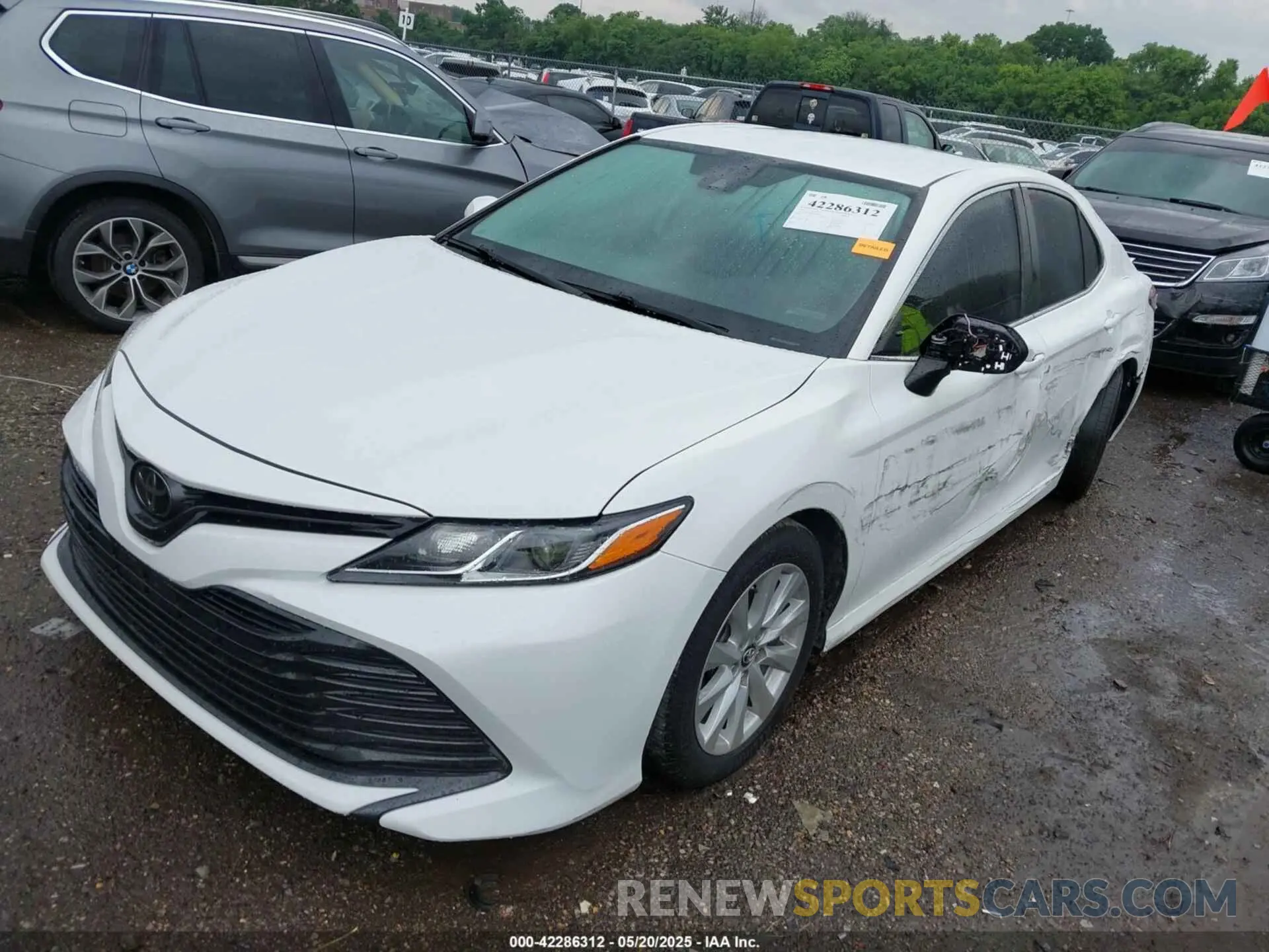 2 fotografías del automóvil dañado 4T1B11HK4KU192631 TOYOTA CAMRY 2019