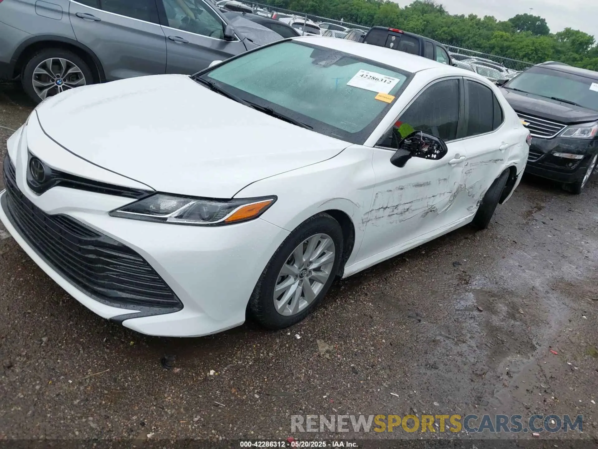 6 fotografías del automóvil dañado 4T1B11HK4KU192631 TOYOTA CAMRY 2019
