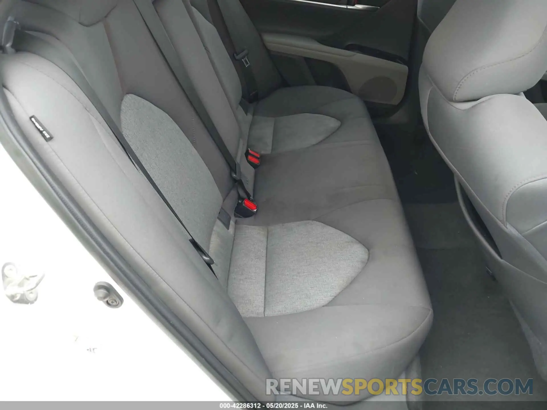 8 fotografías del automóvil dañado 4T1B11HK4KU192631 TOYOTA CAMRY 2019
