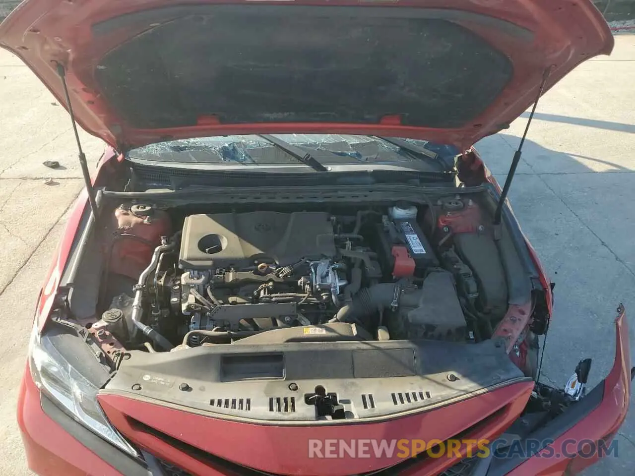 11 fotografías del automóvil dañado 4T1B11HK4KU209301 TOYOTA CAMRY 2019