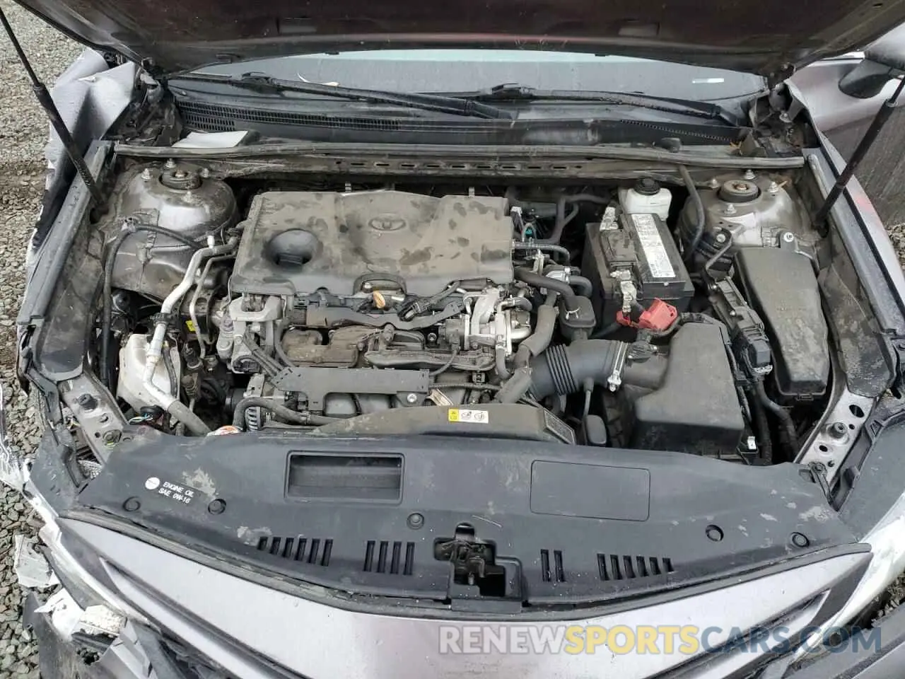 11 fotografías del automóvil dañado 4T1B11HK4KU218774 TOYOTA CAMRY 2019