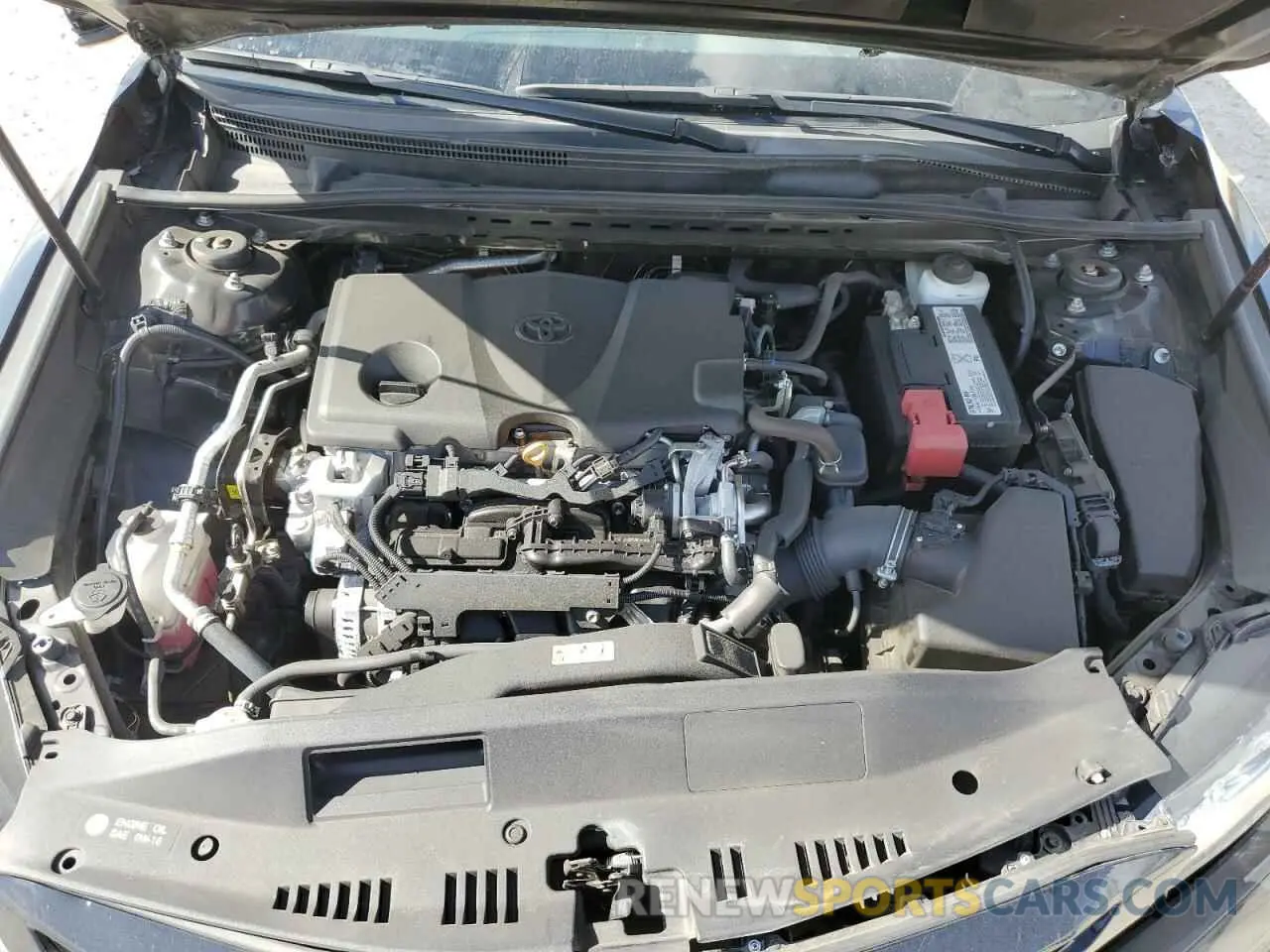 7 fotografías del automóvil dañado 4T1B11HK4KU231752 TOYOTA CAMRY 2019