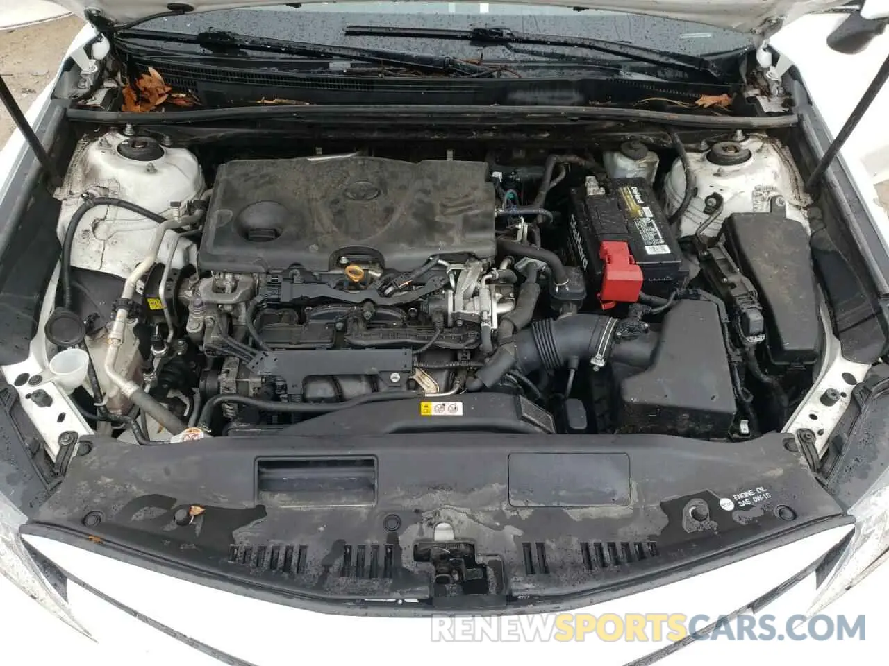 11 fotografías del automóvil dañado 4T1B11HK4KU241584 TOYOTA CAMRY 2019