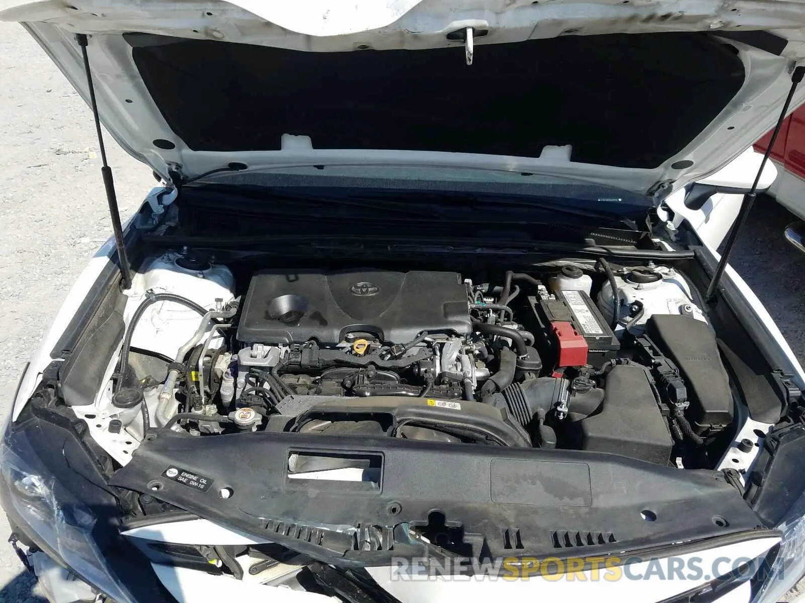 7 fotografías del automóvil dañado 4T1B11HK4KU246977 TOYOTA CAMRY 2019