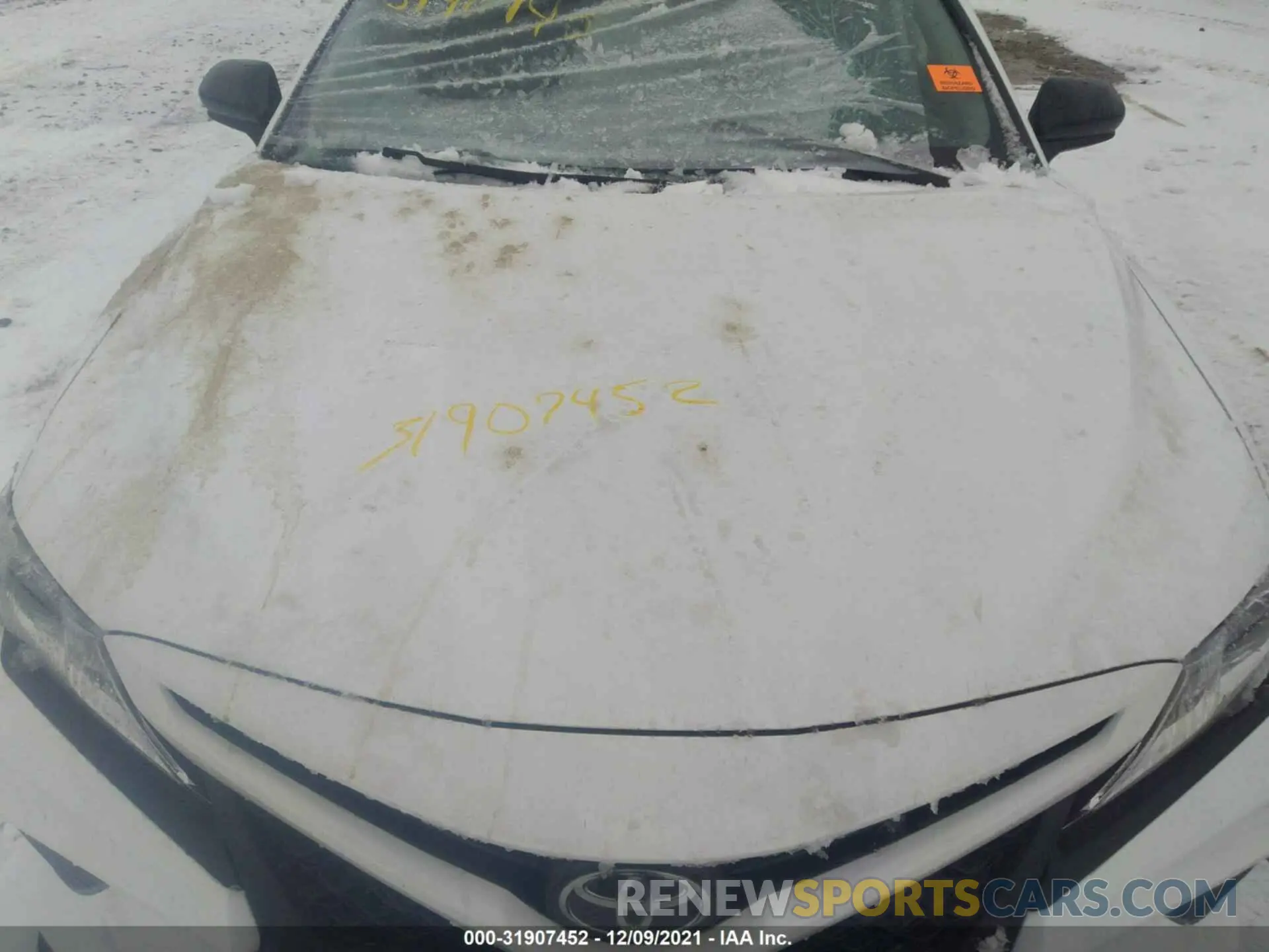 10 fotografías del automóvil dañado 4T1B11HK4KU251368 TOYOTA CAMRY 2019