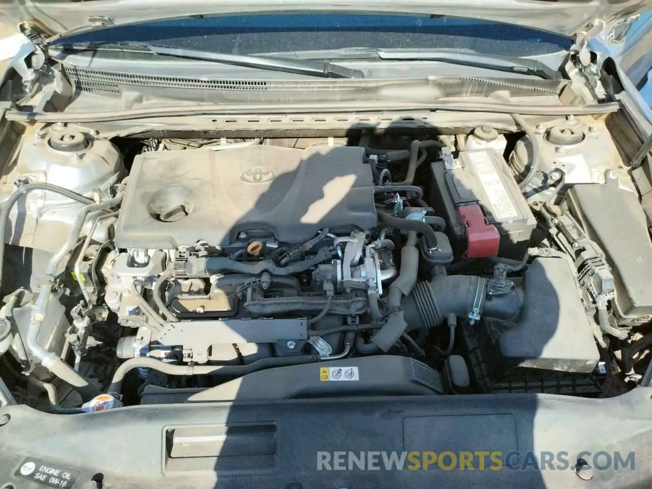 7 fotografías del automóvil dañado 4T1B11HK4KU252732 TOYOTA CAMRY 2019