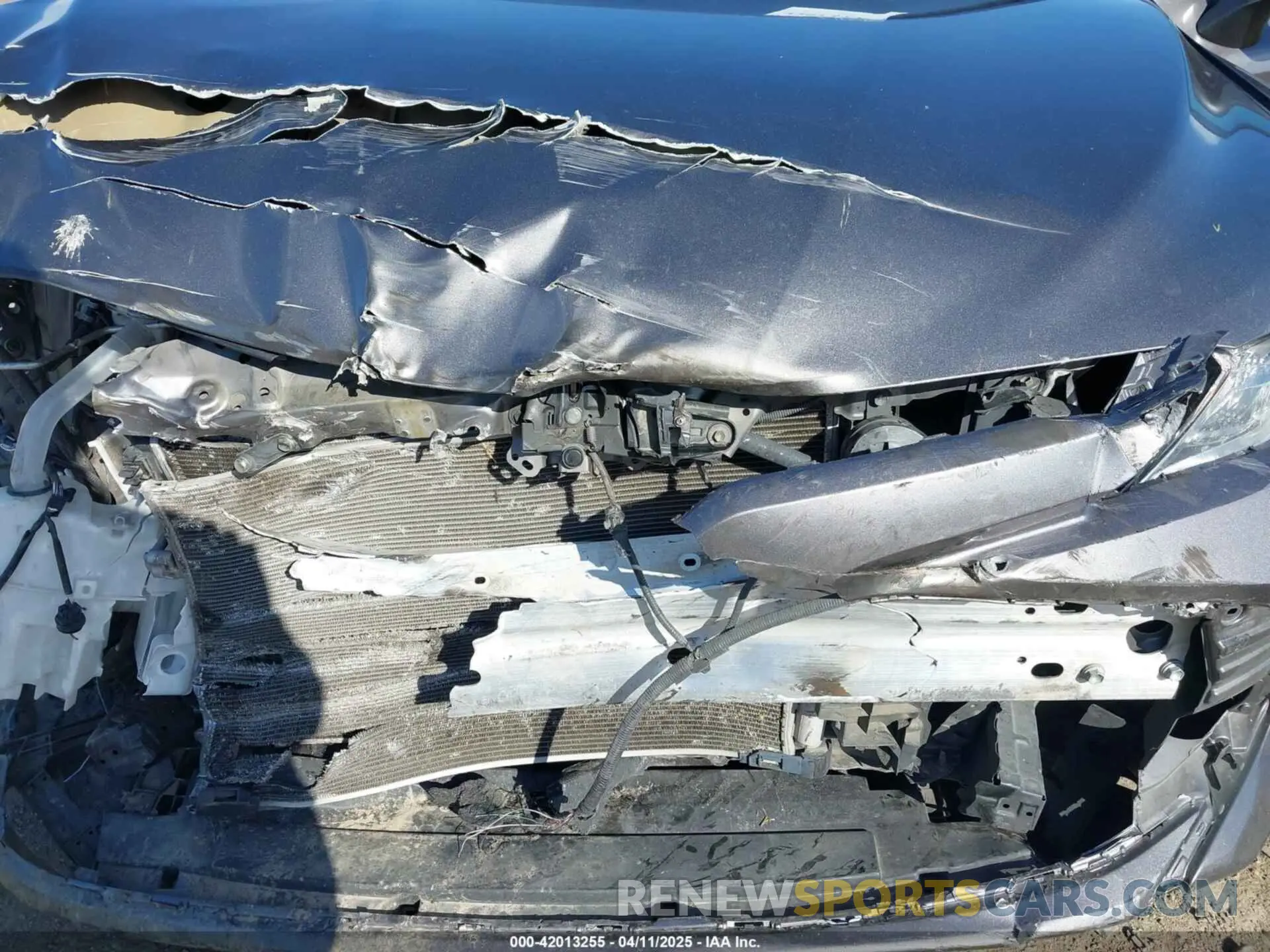10 fotografías del automóvil dañado 4T1B11HK4KU254853 TOYOTA CAMRY 2019