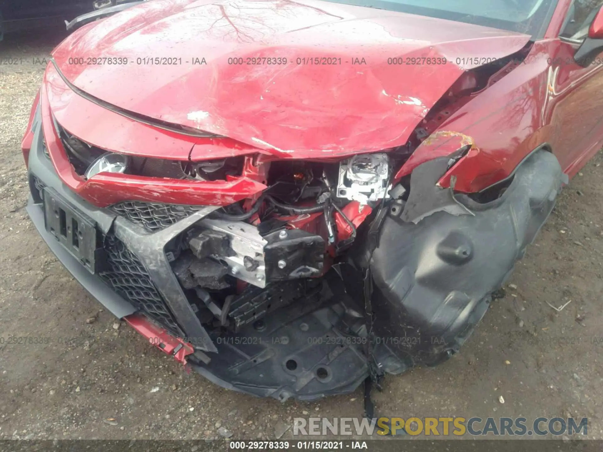 6 fotografías del automóvil dañado 4T1B11HK4KU257574 TOYOTA CAMRY 2019