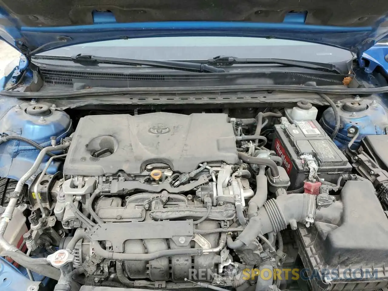 13 fotografías del automóvil dañado 4T1B11HK4KU271619 TOYOTA CAMRY 2019
