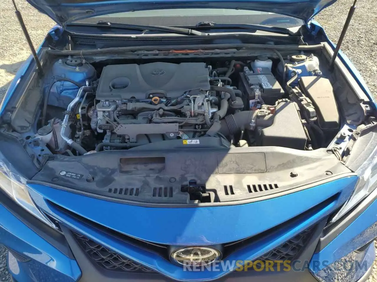 13 fotografías del automóvil dañado 4T1B11HK4KU286220 TOYOTA CAMRY 2019