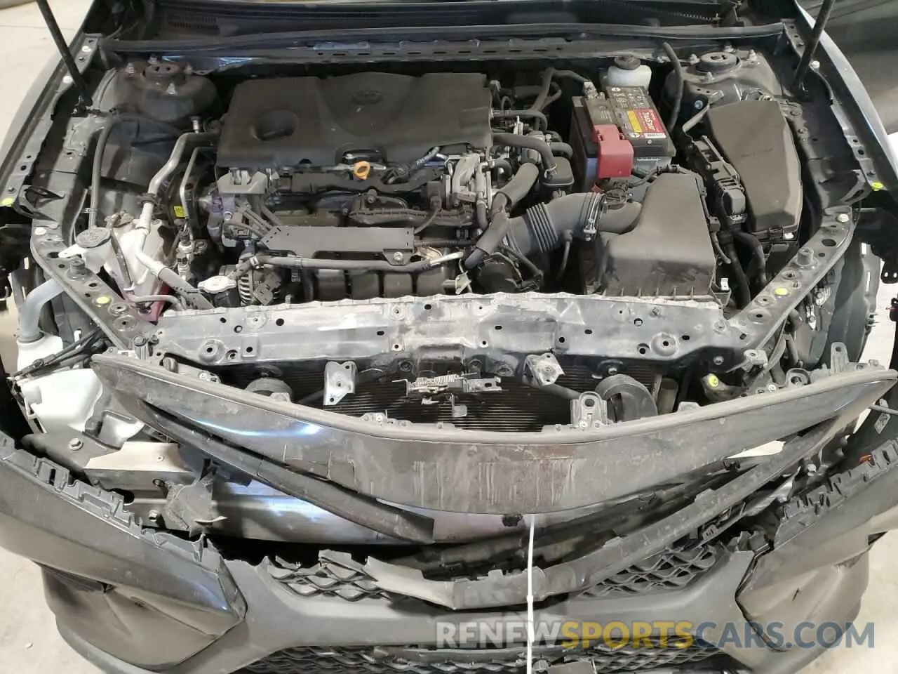 11 fotografías del automóvil dañado 4T1B11HK4KU680896 TOYOTA CAMRY 2019
