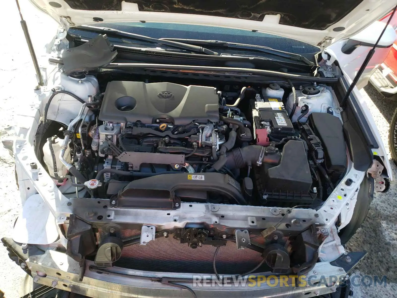 7 fotografías del automóvil dañado 4T1B11HK4KU697343 TOYOTA CAMRY 2019