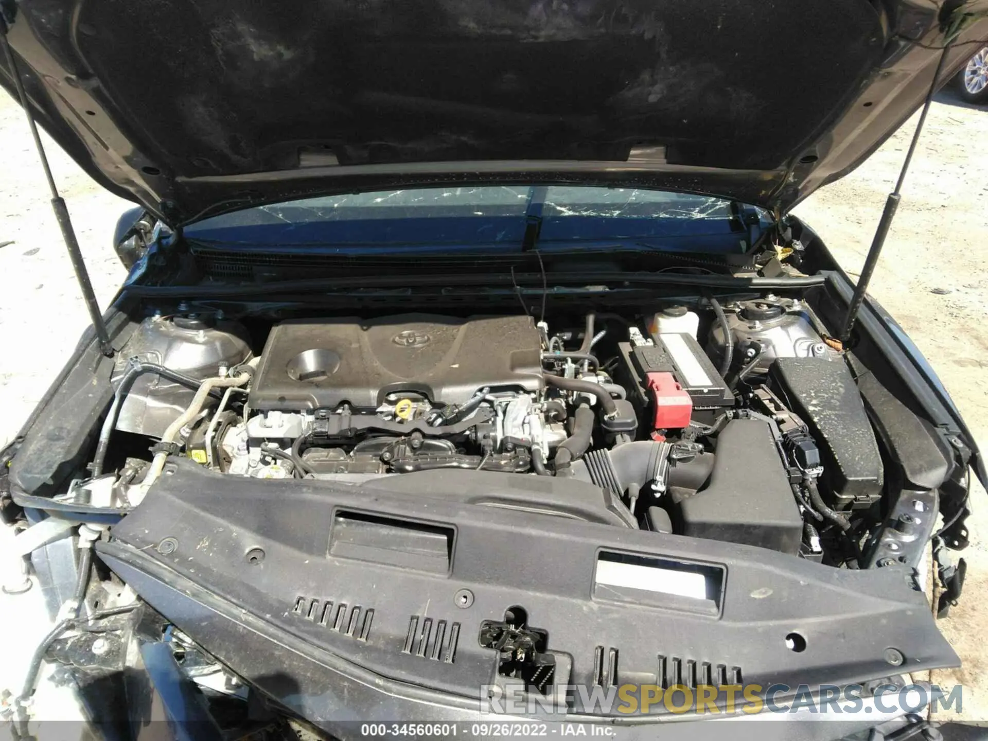 10 fotografías del automóvil dañado 4T1B11HK4KU722497 TOYOTA CAMRY 2019
