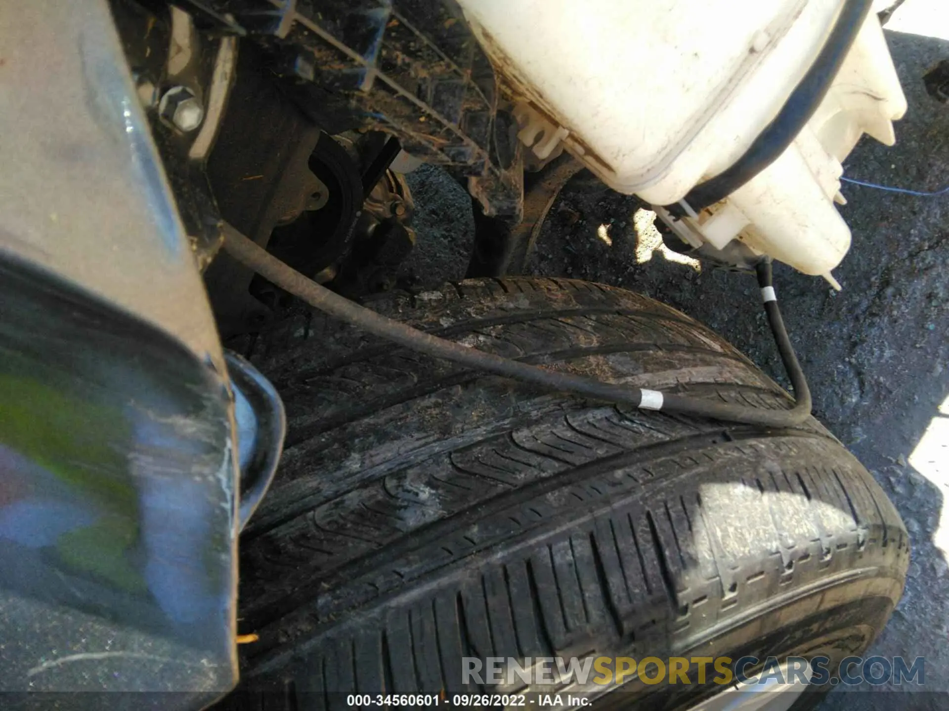 13 fotografías del automóvil dañado 4T1B11HK4KU722497 TOYOTA CAMRY 2019